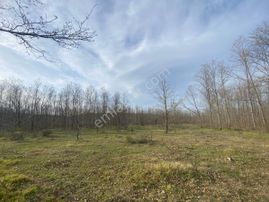 Kırklareli Vize Küçükyayla Köye Yakın Tek Tapu Müstakil Satılık Tarla