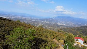 Yön Group'tan Ahmedı'ye De Satılık Fındık Bahçesi