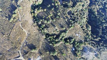 Yön Group'tan Ahmediye'de Satılık Fındıklık