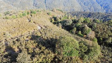 Yön Group'tan Ahmediye'de Satılık Fındıklık