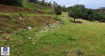 Cb Exper'den Tunceli'de Şahane Yatırım