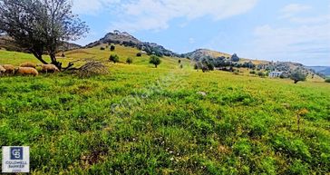 Tunceli İsmet İnönün'de Tarla Fırsatı