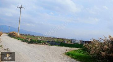 Menemen Türkellide Konteynerli Hobi Bahçesi