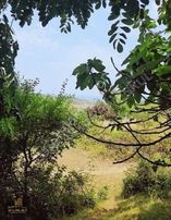 Boğazın Zirvesin'den 9.184 M2 Satılık & Kat Karşılığı Arsa