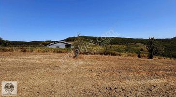 Şile Geredeli Köyünde 1350m2 Yola Cephe Satılık Arazi