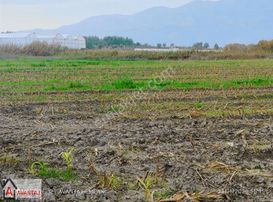 Muğla,seydikemer, Demirlerde Her Türlü Tarım Yapmaya Uygun Tarla