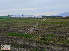 Muğla,seydikemer, Demirlerde Her Türlü Tarım Yapmaya Uygun Tarla