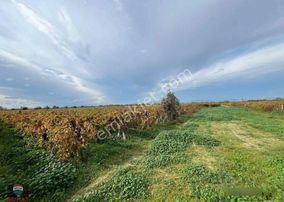 Menemen Çavuşköy’de Çanakkale Asfaltı Yakını 8.100 M2 Satılık Bağ