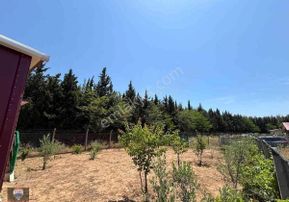 Menderes Develı'de Ormana Sınır Satılık 254 M² Arazı Ve 60 M² 2+1 Ev