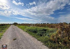 Menemen Çavuşköy’de Çanakkale Asfaltı Yanı 6.500 M2 Satılık Bağ