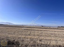 Küçükbürüngüz'de Yerleşim Yeri Yakınında Kaçmaz Fırsat Tarla