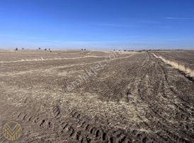 Küçükbürüngüz'de Yerleşim Yeri Yakınında Kaçmaz Fırsat Tarla