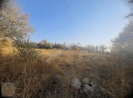 Yatırımlık Fırsat! Subaşında Verimli Tarla/bağ Arazisi