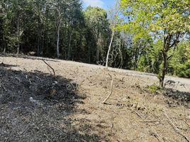 Sarayköyde Deniz Doğa Manzaralı 2 Dönüm Fırsat Tarla