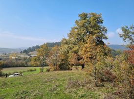 Pamukova Çilekli Mahallesinde Manaralı 2743 M² Arazi