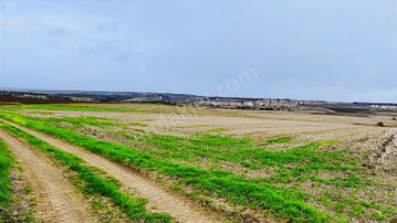 *acil*silivri Alipaşa Mah'de Satılık 258 M² İmar Sınırında Tarla