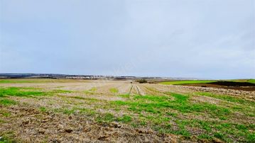 *acil*silivri Alipaşa Mah'de Satılık 258 M² İmar Sınırında Tarla
