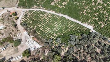 İzmir Menderes Özdere'de Plaja 100 M Köşe Parsel Tek Tapulu 9.727m² Satılık Tarla