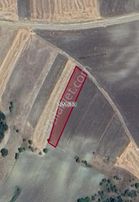 Kütahya Merkez İshakçılar Mah.1.387m² Tarla Satılıktır