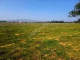 Satılık 6.312 M² Arsa Mesire Alanları İçinde, Anayola Cephe