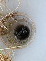 Elektriğe Ve Merkeze Yakın Sulu Tarla Kaçırılmayacak Fırsat