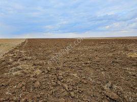 Elektriğe Ve Merkeze Yakın Sulu Tarla Kaçırılmayacak Fırsat
