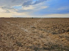 ️ Satılık 42.000 M² Tek Parça Tarla Merkeze Yakın, Su Kuyulu