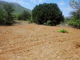 Fırsat Tavas Horasanlı'da 2264 M2 Tarla