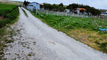 Sakızağacında Bahçelerin İçinde Bulunmaz Bahçe
