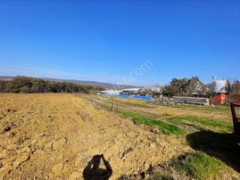 Adapazarı Karadere'de Resmi Yollu Fırsat