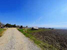 Adapazarı Karadere'de Resmi Yollu Fırsat