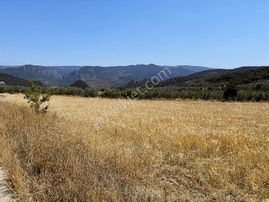 Bilecik Düzmeşe Köyün Yanıbaşında Satılık 10.168 Dönüm Arsa