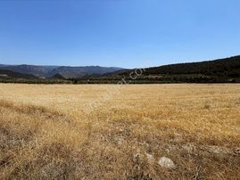 Bilecik Düzmeşe Köyün Yanıbaşında Satılık 10.168 Dönüm Arsa