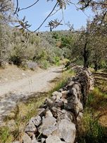 Sancak Emlak'tan Kupon Zeytinlik