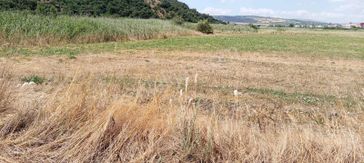 Sancak'tan Fırsat Satılık Tarla