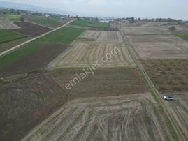 Yenişehir Karaamcada Yol Cepheli 2.821 M² Düz Arazi