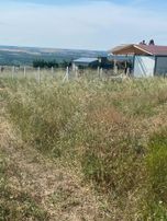 Taksitli Arsalar Hemen Tapu Teslim (tarla Değil)