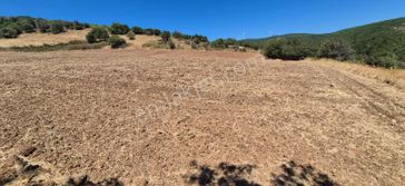 Karacabey Doğla Yerleşime Yakın Resmi Yola Cephe Fırsat Tarla