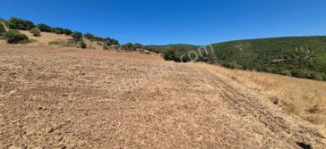 Karacabey Doğla Yerleşime Yakın Resmi Yola Cephe Fırsat Tarla