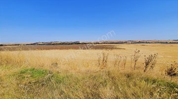 Edirne İskender'de D020 Karayoluna Sıfır Konumda Satılık Tarla