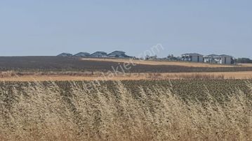 Edirne İskender'de D020 Karayoluna Sıfır Konumda Satılık Tarla