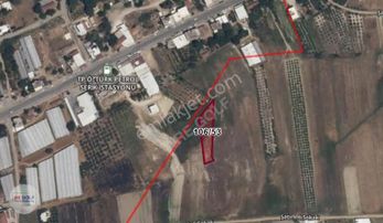 Osman Akça'dan Abdurrahmanlar İmar Sınırında Tek Tapu 1473 M2