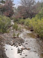 İmroz Emlak'tan Şirinköye Yakın 2.697 M2 Zeytinlik