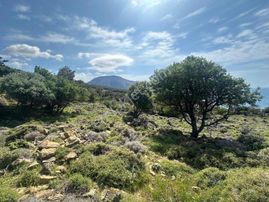 İmroz Emlak'tan Marmarosta Mükemmel Deniz Manzaralı Damlı Arazi