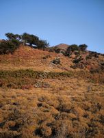 İmroz Emlak'tan Mesadi Mevkii'de 1.112 M2 Deniz Manzaralı Arazi