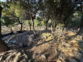 İmroz Emlak'tan Rihya Mevkii'de 1.186m2 Damlı Zeytinlik