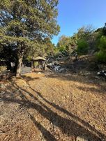 İmroz Emlak'tan Rihya Mevkii'de 1.186m2 Damlı Zeytinlik