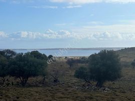 İmroz Emlak'tan Güzelcekoy'da 4.200 M2 Deniz Manzaralı Tarla