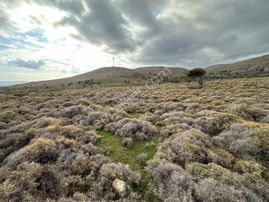 İmroz Emlak'tan Turizm İmar Planında 2.297 M2 Tarla
