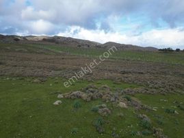 İmroz Emlak'tan Güzelcekoy'da Denize 430 Metre Yakınlıkta Tarla